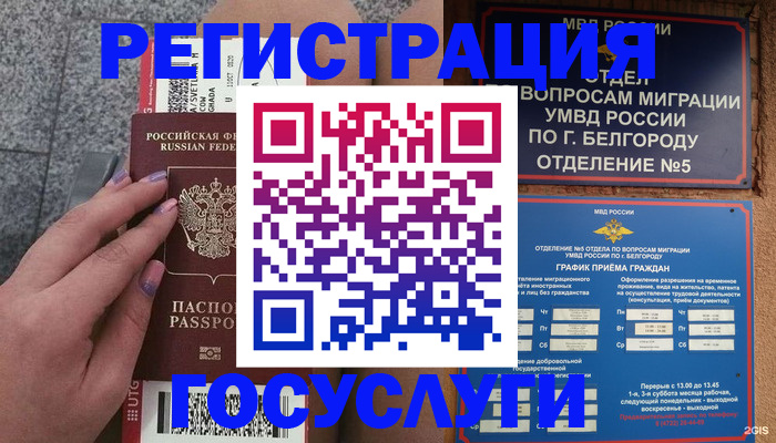 временная регистрация поиск в Череповце